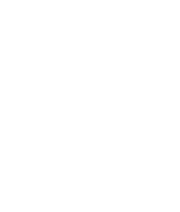 logos_0046_Zed-Black.png