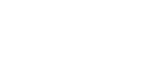 logos_0057_Badshah_Masala.png